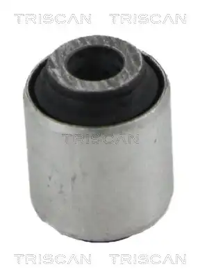 Подвеска 850010874 TRISCAN