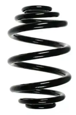 ПРУЖИНА ПОДВЕСКИ ЗАДНЕЙ 56972 GKN