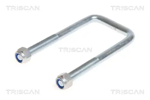 Стремянка рессоры TRISCAN 8765100012