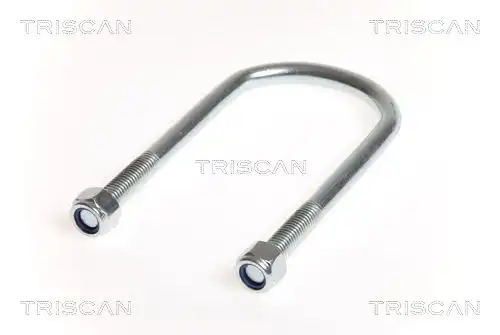Стремянка рессоры TRISCAN 8765100011