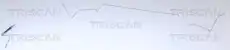 Шлангопровод 815025231 TRISCAN