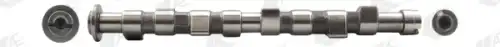 Распредвал AE CAM1000