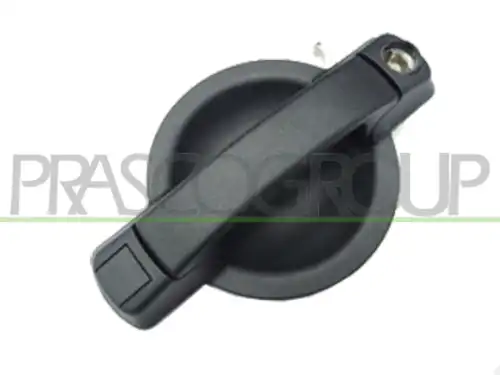 Ручка двери PRASCO FT9088002