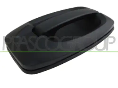 Ручка двери PRASCO FT9308001