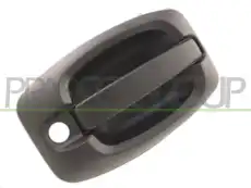 Ручка двери PRASCO FT9308301