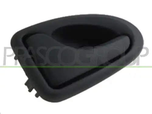 Ручка двери PRASCO FT9268402