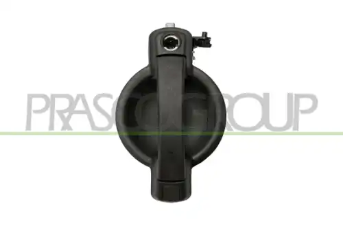 Ручка двери PRASCO FT9088301
