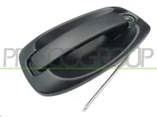 Ручка двери PRASCO FT9078002