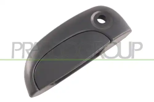 Ручка двери PRASCO DS9178002