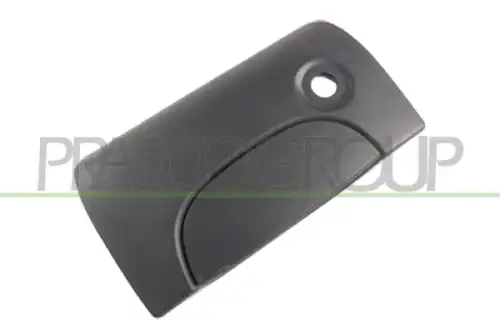 Ручка двери PRASCO DS9178341