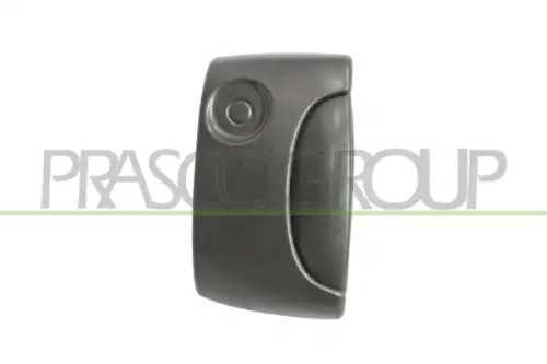 Ручка двери PRASCO DS9178101