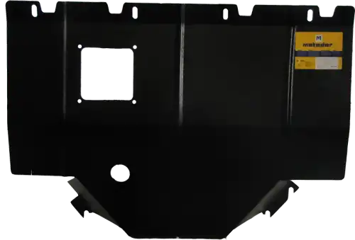 Защита 616 MOTODOR