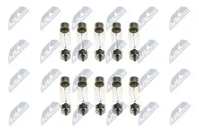 Автолампа NTY EZ-C5W41MM C5W 12