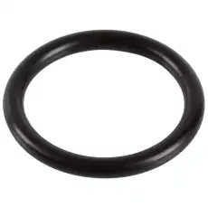 DICHTUNG 1736248 FORD