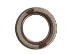 RADIALDICHTRING 5101804 FORD