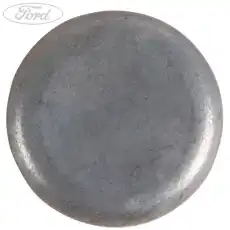 1256456 Заглушка гбц FORD
