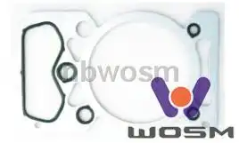 Прокладка ГБЦ WOSM G036
