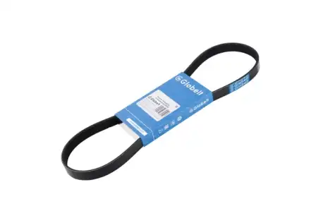 GLOBELT 5PK716