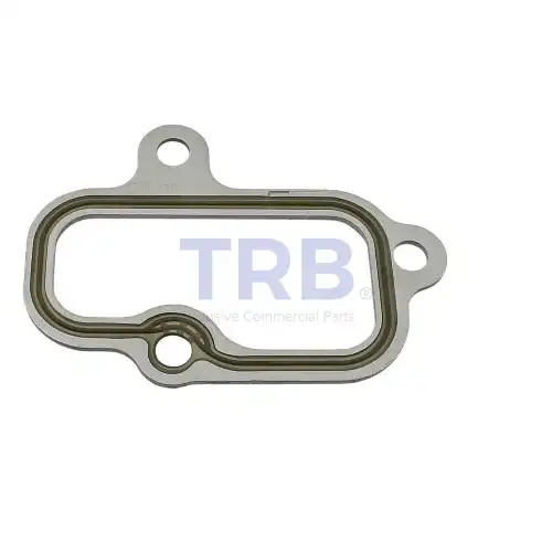 Прокладка коллектора TRB R115.0163