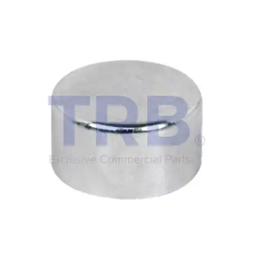 PERNO KAPAGI - d 45 x 22 mm R346.1742 TRB