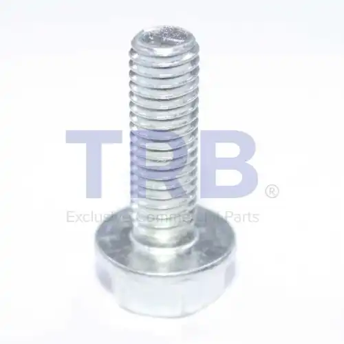 R715.0074 Болт М 8x20x1,25 TRB