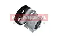 Насос PP066 KAMOKA