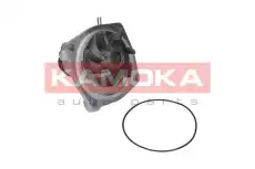Насос T0006 KAMOKA