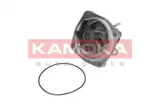 Насос T0006 KAMOKA