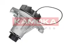 Насос T0006 KAMOKA