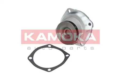 Насос T0010 KAMOKA