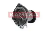 Насос T0011 KAMOKA