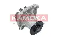 Насос T0011 KAMOKA