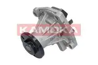 Насос T0011 KAMOKA