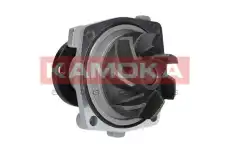Насос T0011 KAMOKA