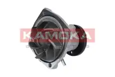 Насос T0011 KAMOKA