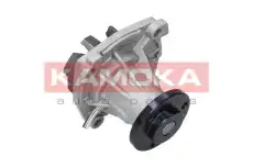 Насос T0011 KAMOKA