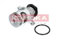 Насос T0056 KAMOKA