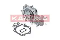 Насос T0105 KAMOKA