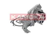 Насос T0105 KAMOKA