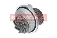 Насос T0107 KAMOKA