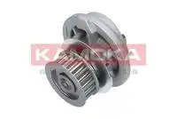 Насос T0107 KAMOKA