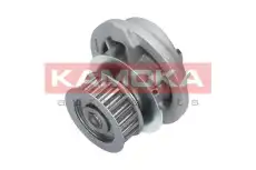 Насос T0107 KAMOKA