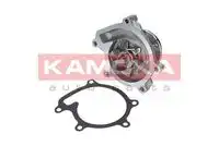 Насос T0110 KAMOKA