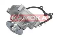 Насос T0110 KAMOKA