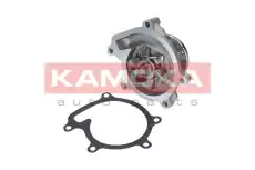 Насос T0110 KAMOKA
