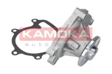 Насос T0110 KAMOKA