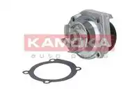 Насос T0115 KAMOKA