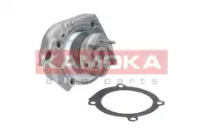 Насос T0115 KAMOKA