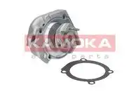 Насос T0115 KAMOKA