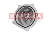 Насос системы охлаждения (помпа) KAMOKA T0145
